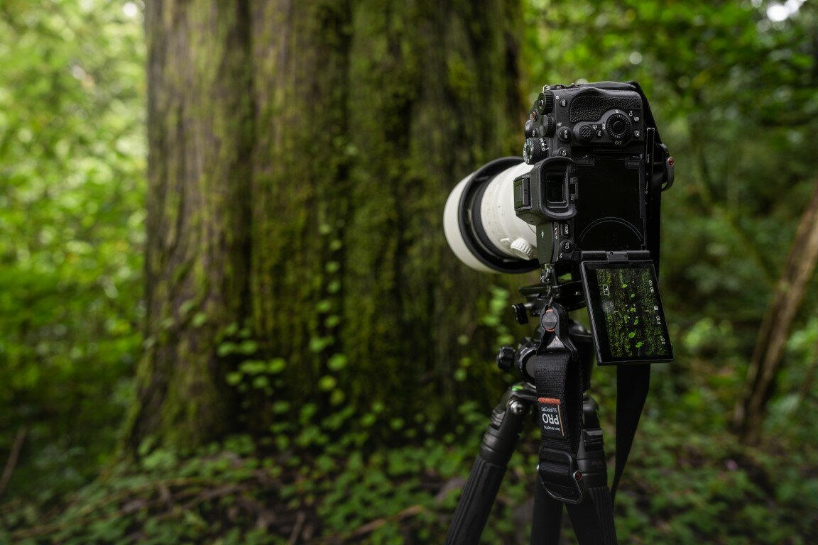 Sony A7R V